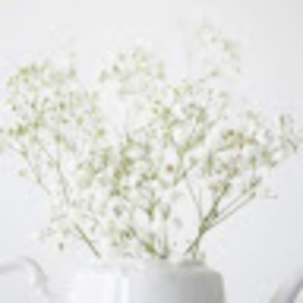 Meet your Posher, Clarissa